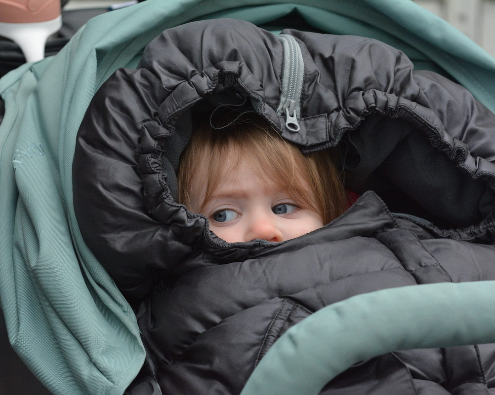 Screenshot 2025-12-12 at 11-49-57 Scenes from Marblehead’s 54th Christmas Walk weekend