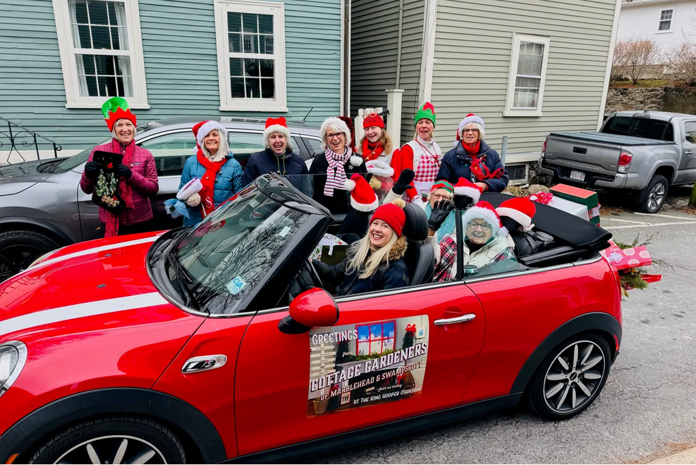 Screenshot 2025-12-12 at 16-23-01 COLLEENS GARDEN A cottage Christmas