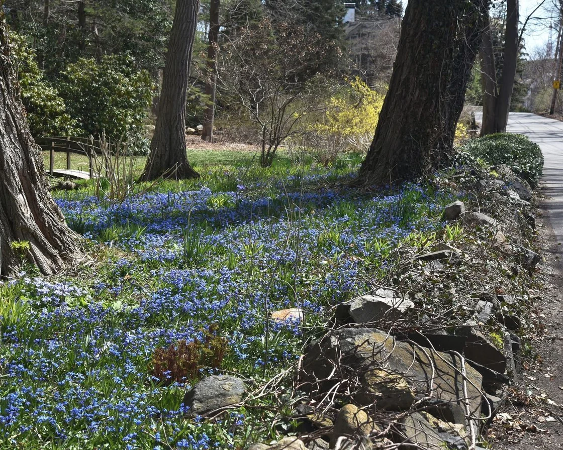 photo-essay-signs-of-spring-in-marblehead