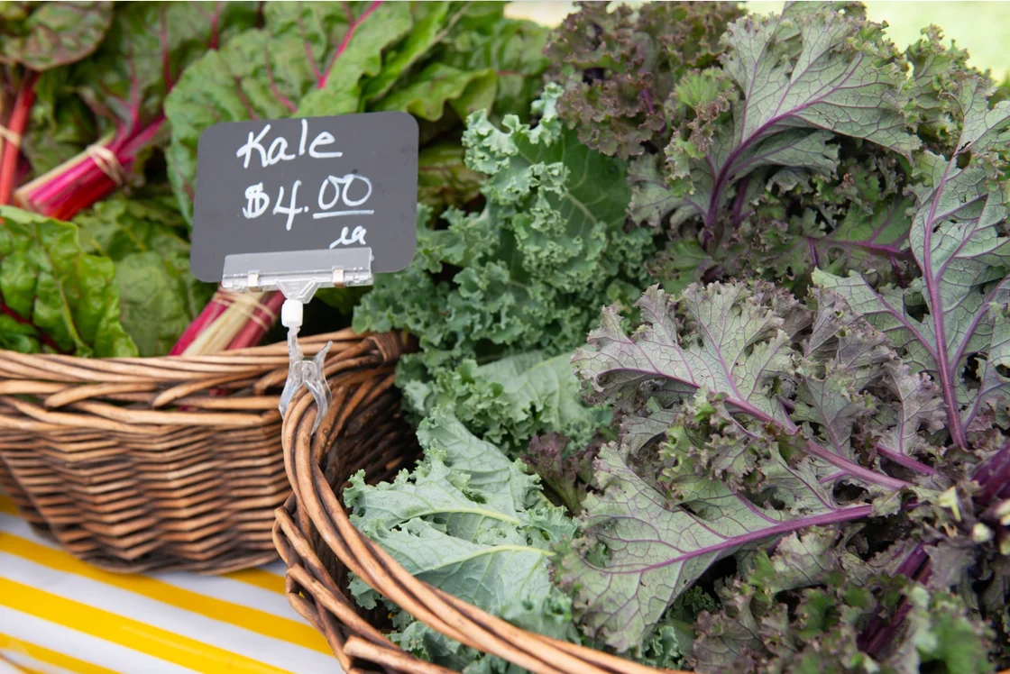 15-marblehead-morsels-lettuce-eat-local