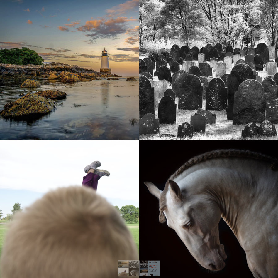 Artwork from the Marblehead Arts Association fall exhibits