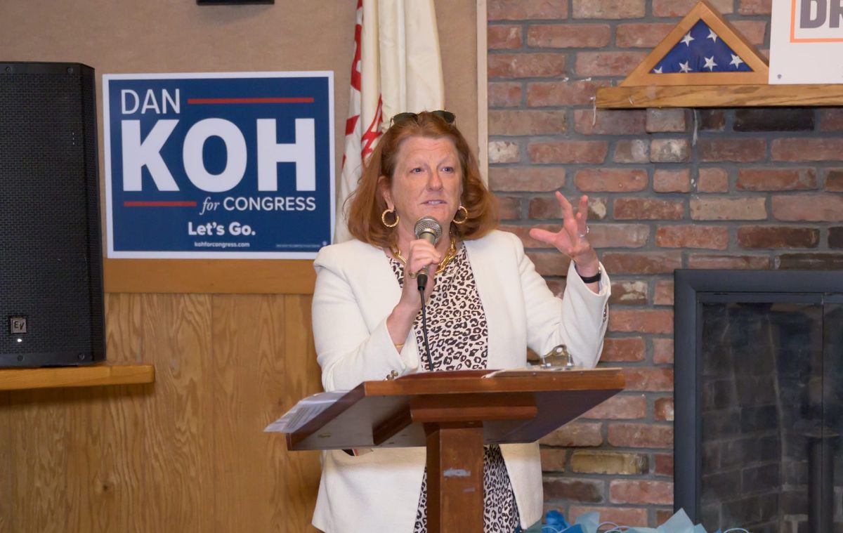 State Rep. Jenny Armini speaks at the Marblehead Democratic Town Committee picnic